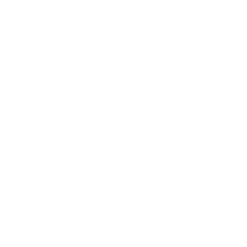 Sonic Unyon