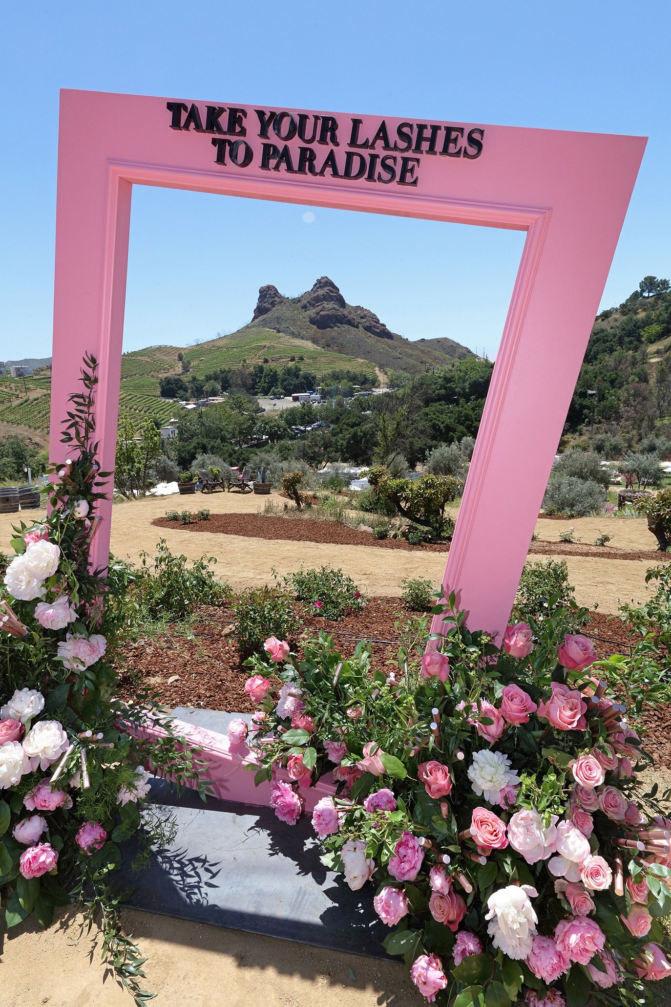 Gilles Sacksick、la gloire des roses、新品額装 Gilles Sacksick、la