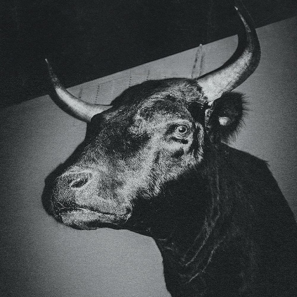 Austin Plaine, Paul Beveridge Tickets at Stella's Pinball Arcade and Lounge in Greeley by