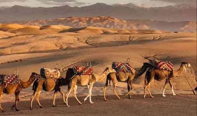 Excursion to Agafay Desert 