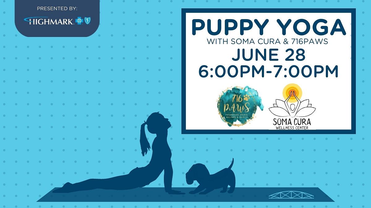 Puppy Yoga Tickets at Canalside in Buffalo by Buffalo Waterfront | Tixr