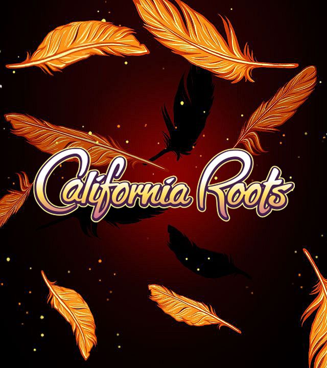 California Roots Music and Arts Festival 2021 Tickets at ...