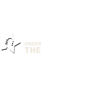 Concerts Under the Stars