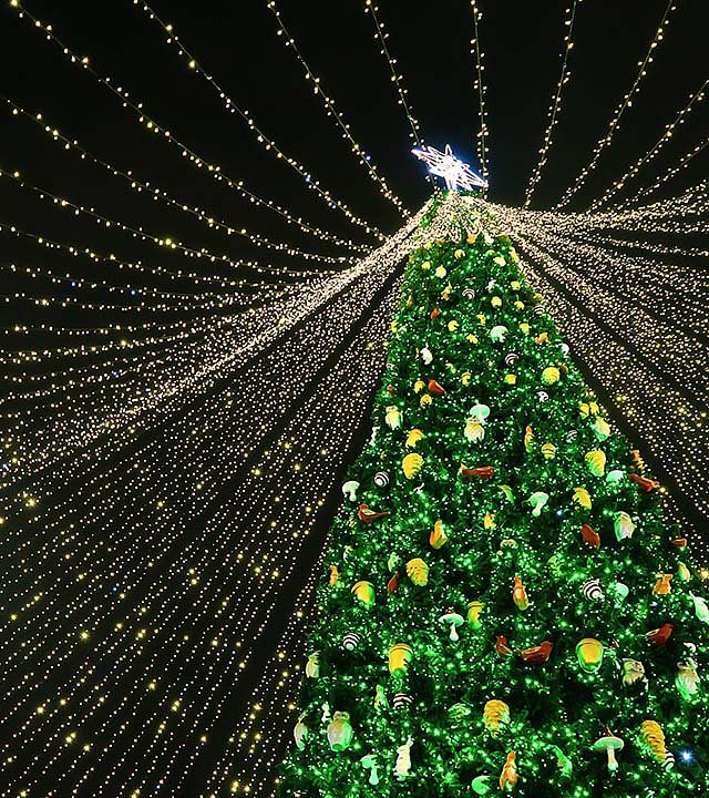 Christmas Light Show & Photos w/ Santa (12/9/23) Tickets at Sonny Acres