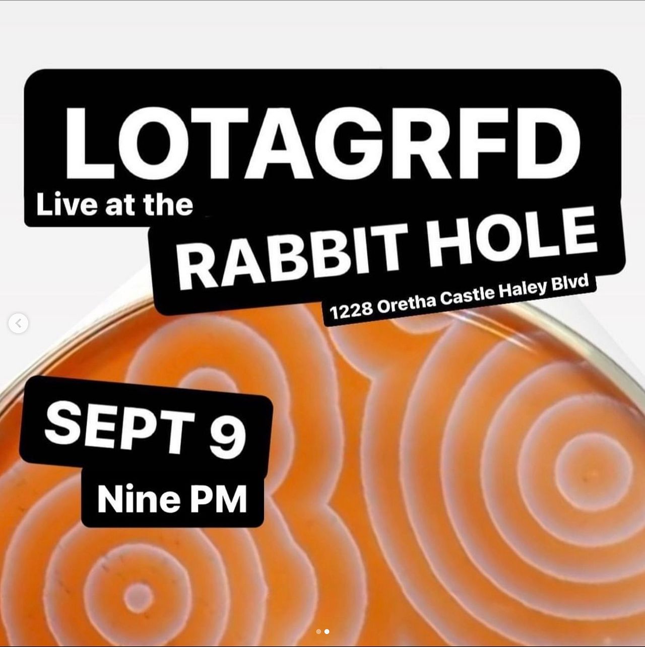 LOTAGRFD Tickets at The Rabbit Hole in New Orleans by The Rabbit Hole Tixr