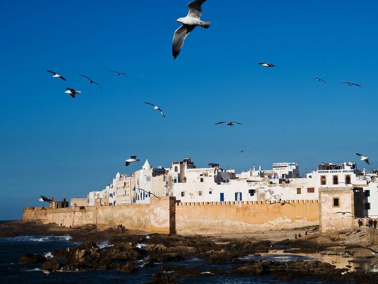 Essaouira Coastal Escape 