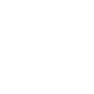 365 Presents