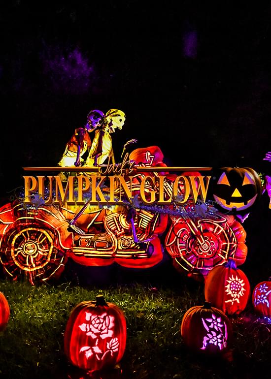 Jack's Pumpkin Glow Lights Up Philly's Fairmount Park